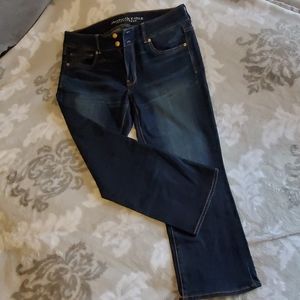American Eagle Artist Crop Jeans